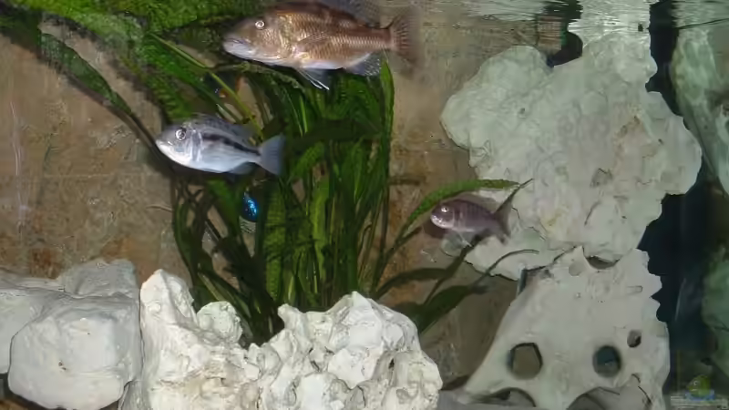 Rechte Ecke von Nimbo (3)