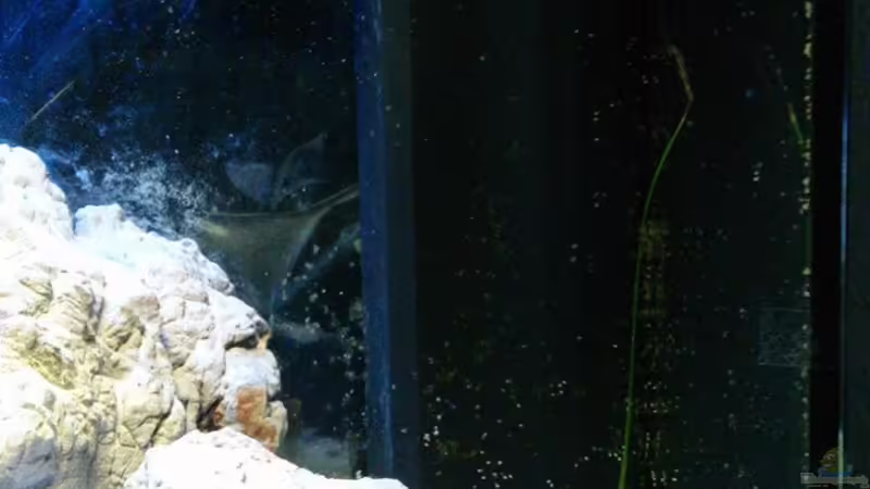 Rechte Ecke von PhilGabriel (6)