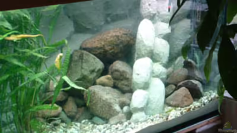 rechte Felsenecke von fejul (3)