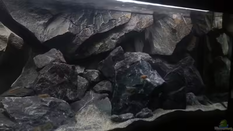 Rechte Hälfte, neue Aufbauten; Licht auf 30% gedimmt von tripledad (10)