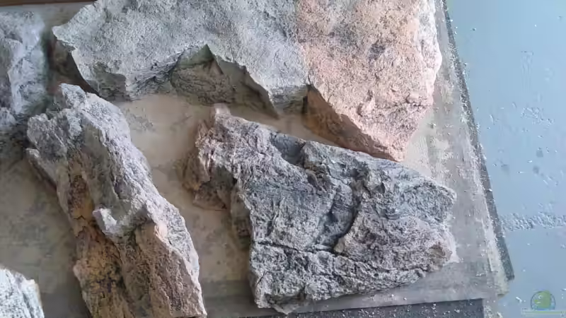 Rechte Hälfte Trockenversuch von Crenii (27)