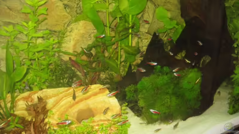 Rechte Hälfte von Christian Dobler (2)