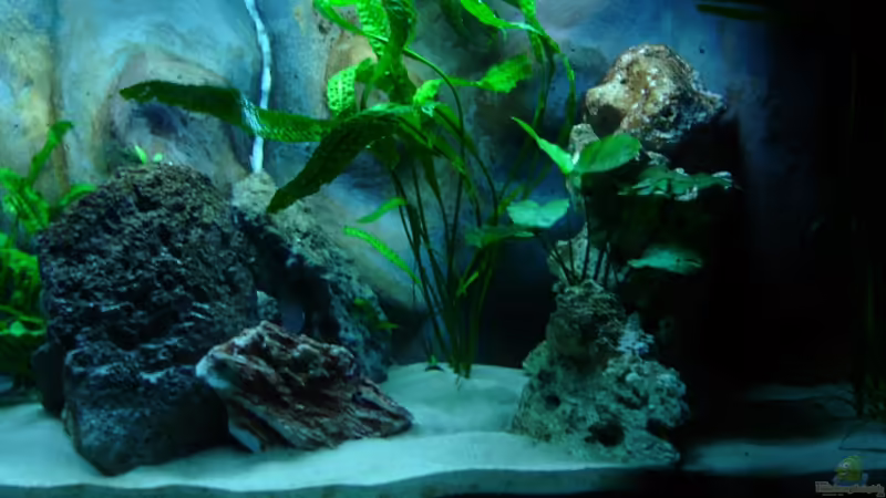 Rechte Hälfte von ertzuio (3)