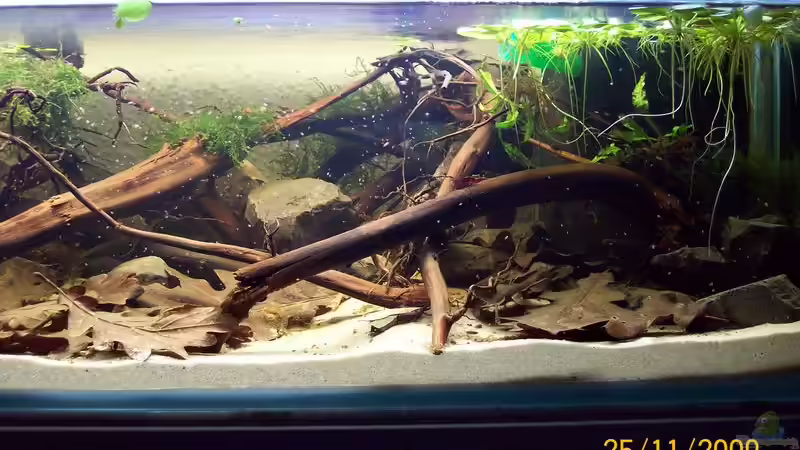 Rechte Hälfte von Heiko Bischof (4)