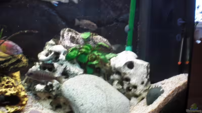 rechte Hälfte von pennywise (3)