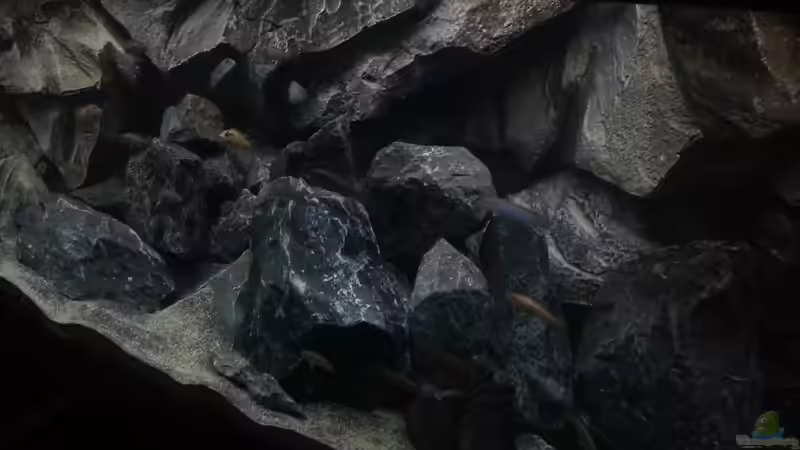 Rechte Hälfte von rechts oben fotographiert von tripledad (11)