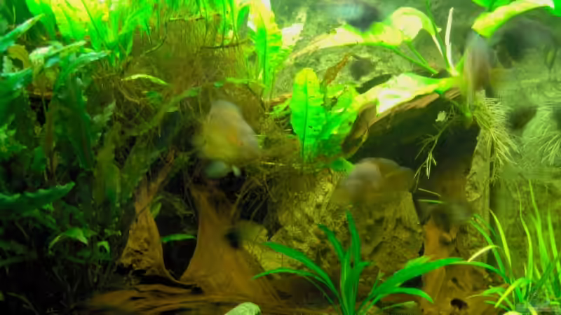 Rechte Hälfte von Stefan Reinl (4)