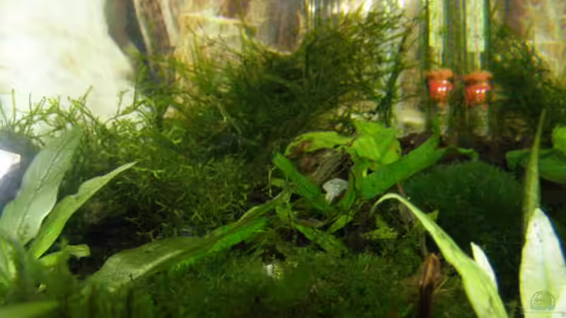 Rechte hintere Ecke mit Blitz von SeLo (6)