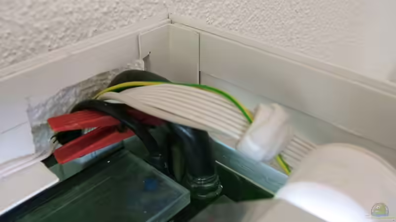 Rechte hintere Ecke von Hanspeter Widmer (8)