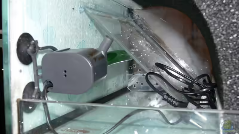 rechte HMF Probe von DominikZ (30)