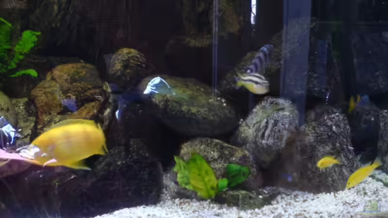 Rechte Höhlen von Dommi (7)