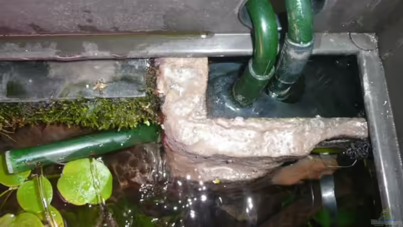 Rechte Kammer mit Ausflussseite oben und unten von Andreas Fuchs (13)