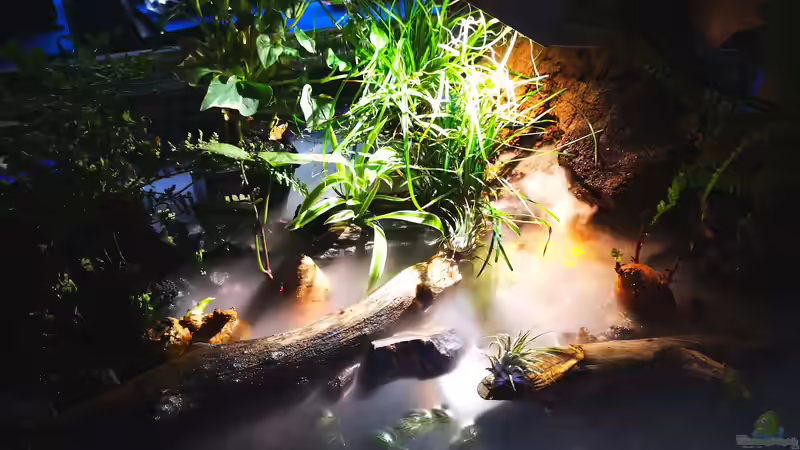 Rechte Quelle mit Lavagrote von Alexander Deepocean (28)