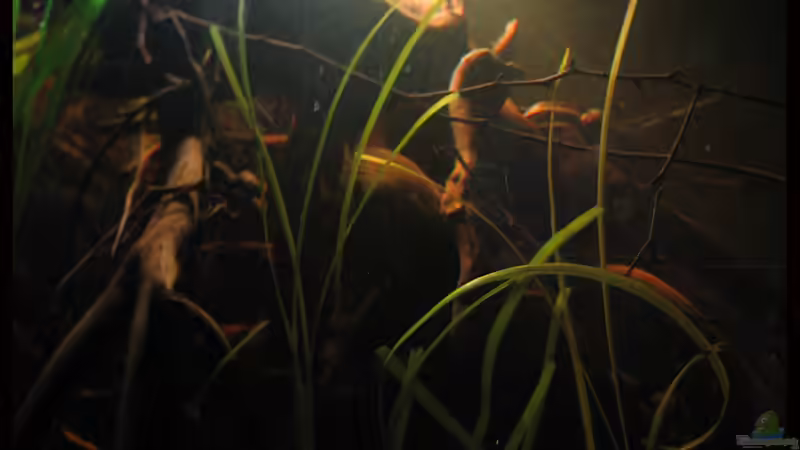 Rechte Seite ...23.01.12 von Alex S (3)