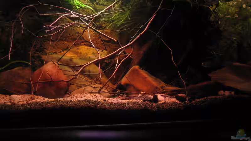 rechte Seite... von Alex S (20)