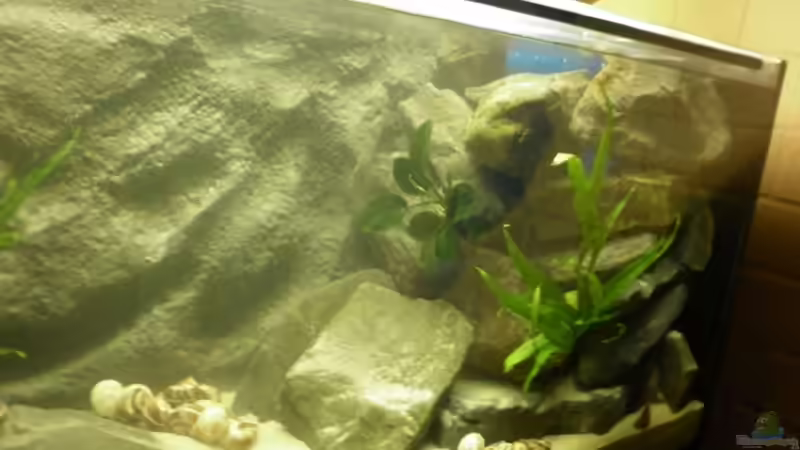 rechte Seite... von Julien Preuß (43)