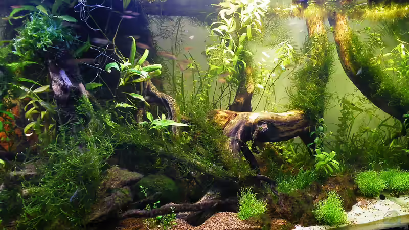 Rechte Seite - 01.08.2011 von bergfrau (18)