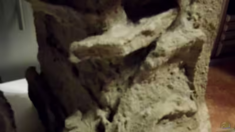 Rechte Seite - Hinter diesem Teil werden der Filter und die Heizung plaziert von snooze (24)