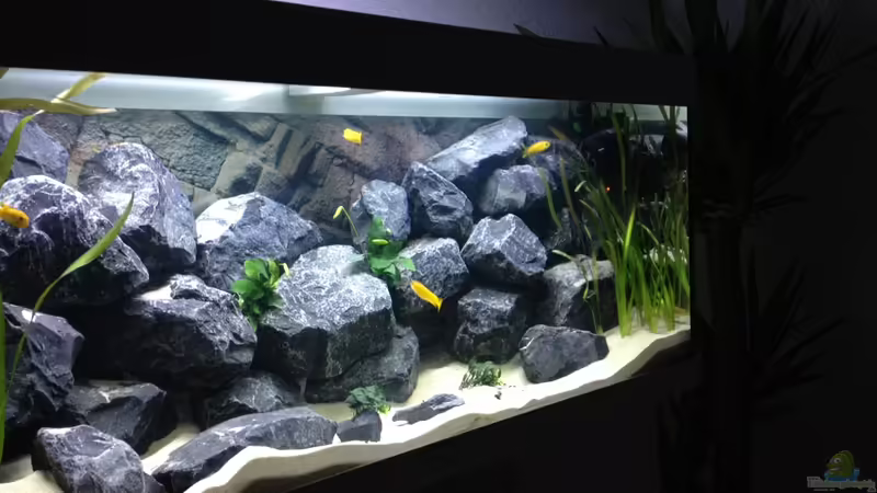 Rechte Seite - Längstansicht von Vin (4)