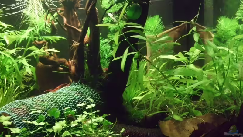 rechte Seite, aktuell von lukasg (3)