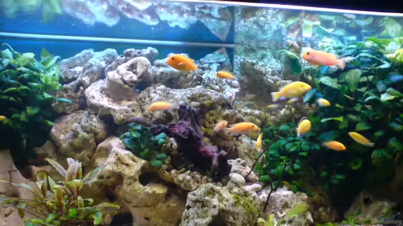 rechte Seite, altes Bild von Niko P. (12)