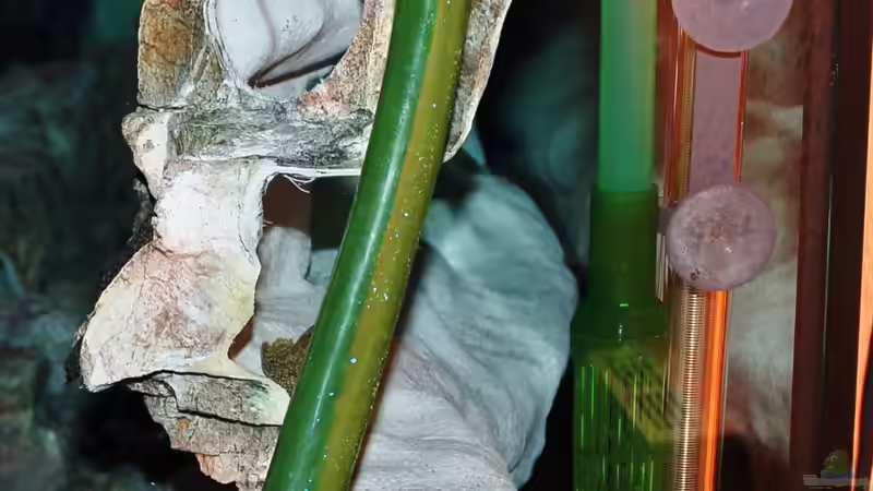 Rechte Seite- ??ffnung RW - Heizung- Ansaugrohr Aussenfilter für wasserreinigung von Frank Hopp (51)