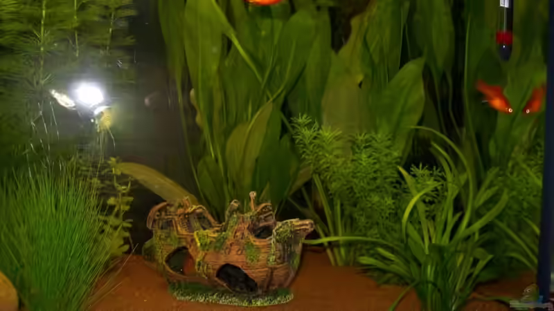 rechte Seite: Schiffswrack und Bepflanzung von Birgit Fastenrath (3)