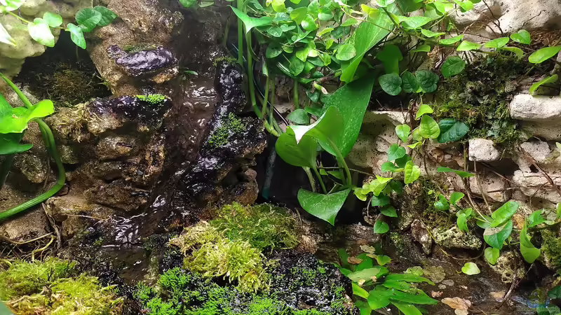 Rechte Seite, Stand 01.2023 von Stephi (3)