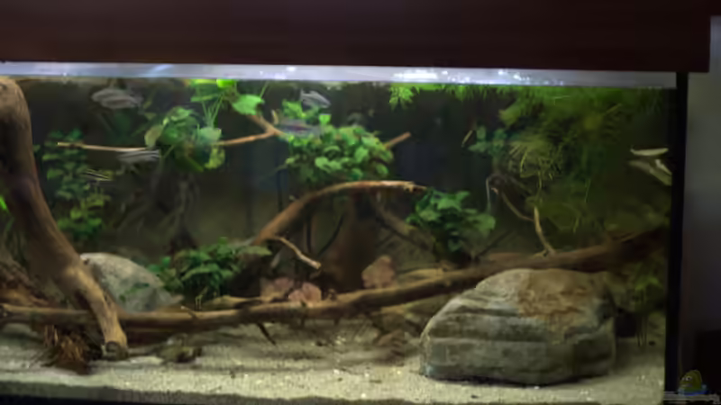 Rechte Seite  von Didi (12)