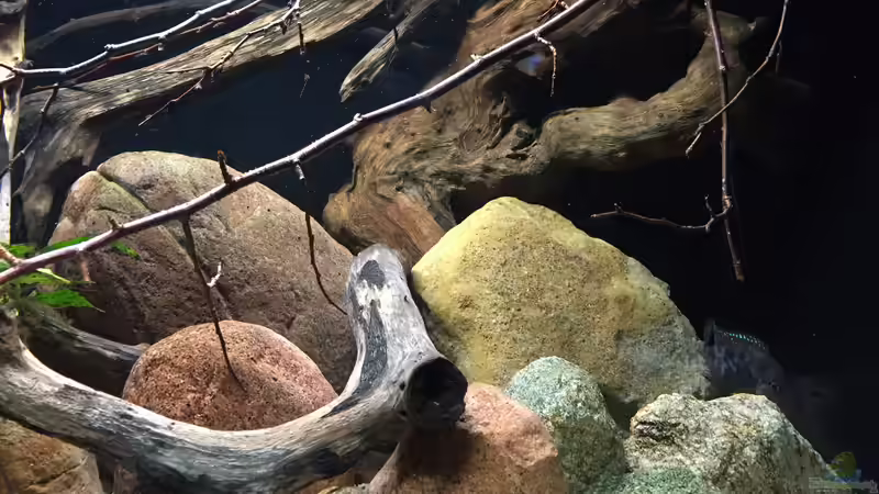 Rechte Seite. von Lutten81 (14)