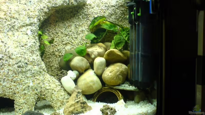 Rechte seite. von Manuel Hammes (4)