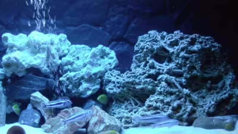 Rechte Seite  von O.K. (4)