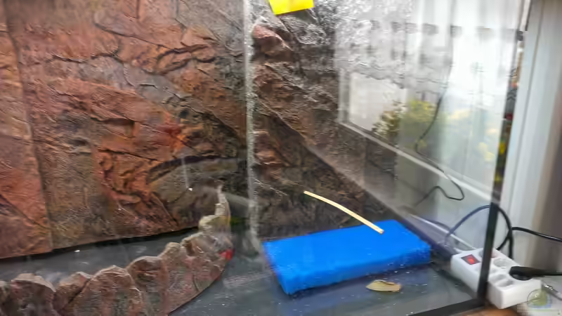 Rechte Seite. von raubsau (45)