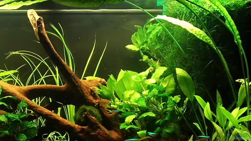 rechte Seite 02.05. von Melanie (2)