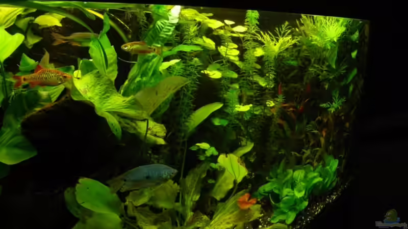 rechte Seite 08.09.09 von Danne86 (3)