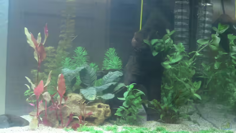 Rechte Seite_2 Tag von Jonas (Trancemania) (15)