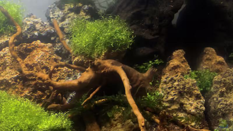 rechte Seite 26.01.2015 von SouthAmerica (15)