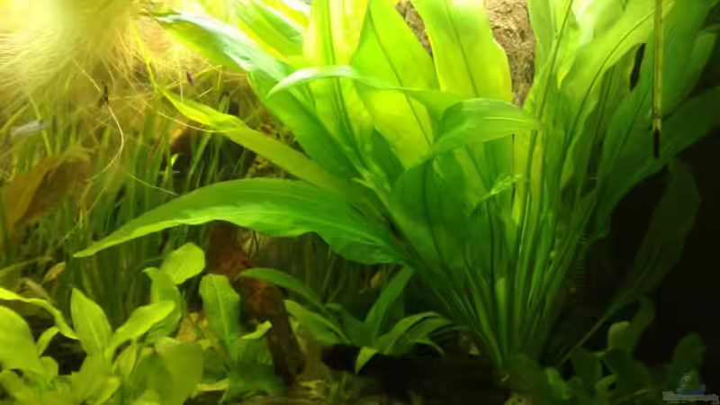 rechte Seite 28.12.07 von Thomas Oetjen (9)