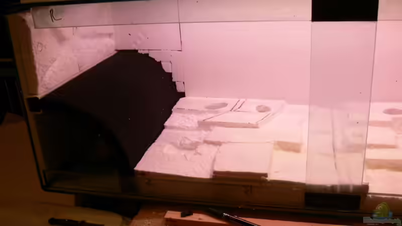 rechte seite 28.12.2012 von DominikZ (11)