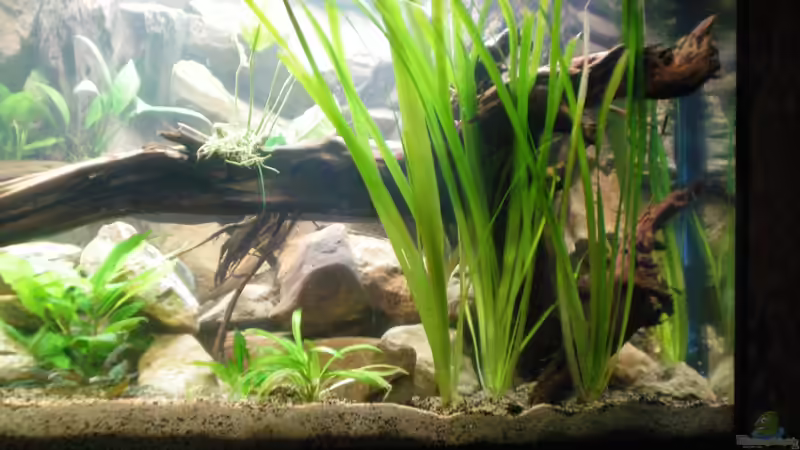 rechte seite (29.08.2012) von Falk Bellmann (5)