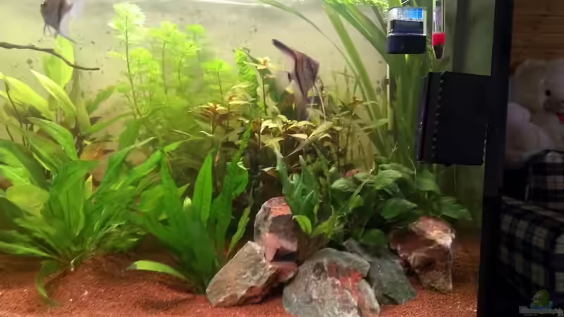 Rechte Seite 29.10.2013 von Jan H. (5)