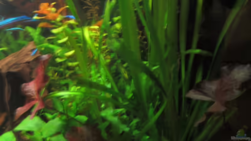 rechte Seite 4.3.12 von Sabrina Plankensteiner (16)