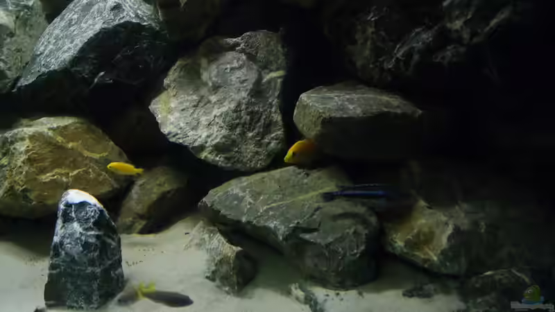 Rechte Seite 4 von Poybuna (13)