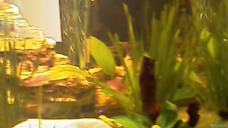 rechte Seite 8.4.09 von Carmen Bernhardt (4)