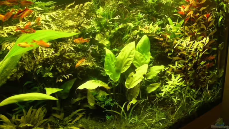 rechte Seite aktuell von Stinnes (8)