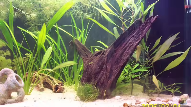 Rechte Seite (alt) von Sven Pohlner (3)