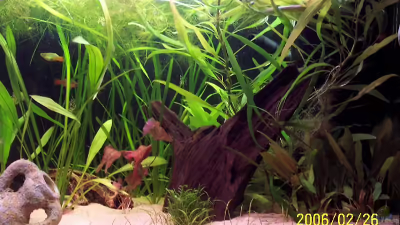 Rechte Seite (alt) von Sven Pohlner (4)