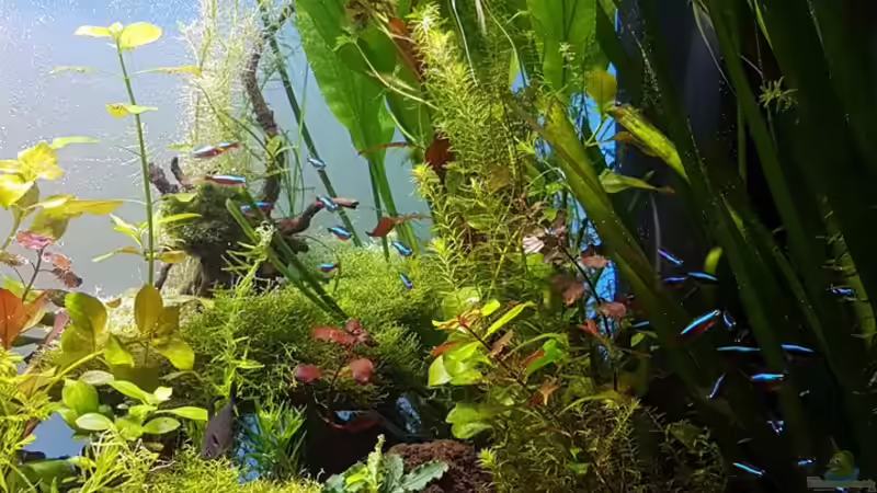 rechte Seite am 17.04.2016 von Sebastian Hartmann (42)