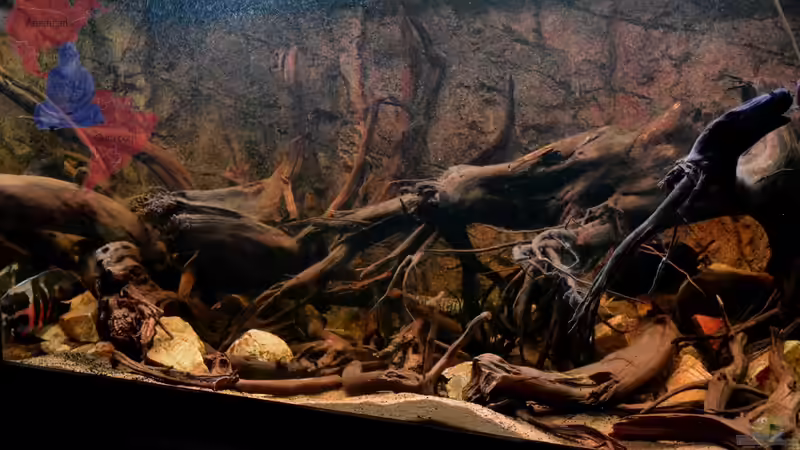 Rechte Seite am 20.09.2012 von GGuardiaNN (10)