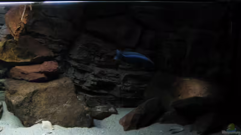 rechte Seite auch im dunkeln von The Duke of woods (14)